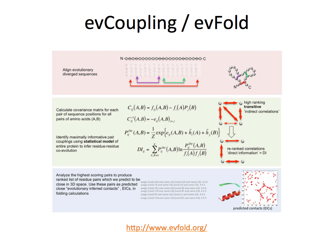 EVFold pipeline