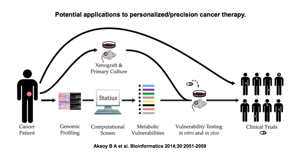 Personalized cancer therapy