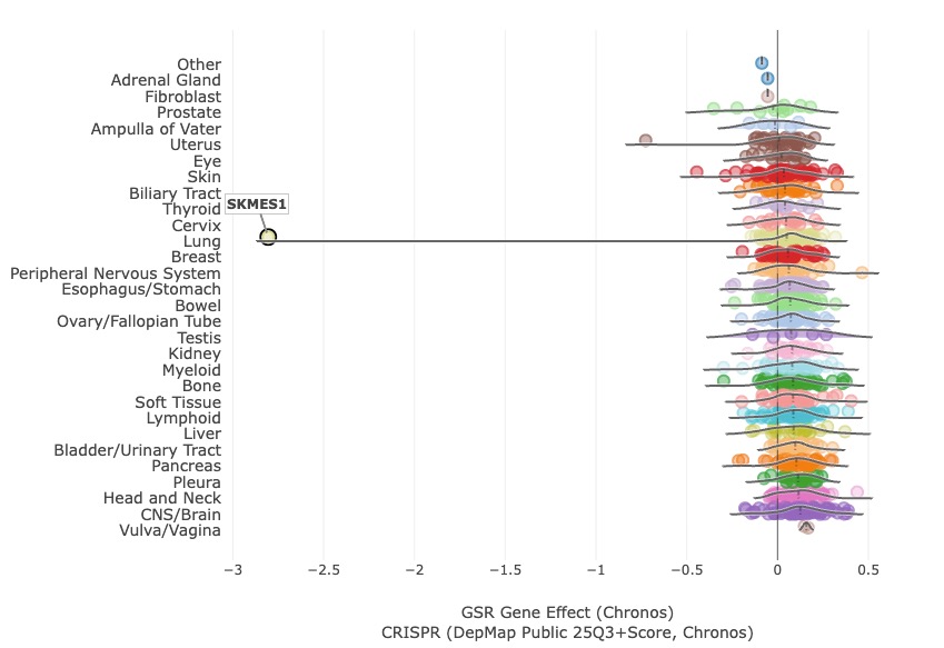 SK-MES-1 is an extreme-responder for GRS