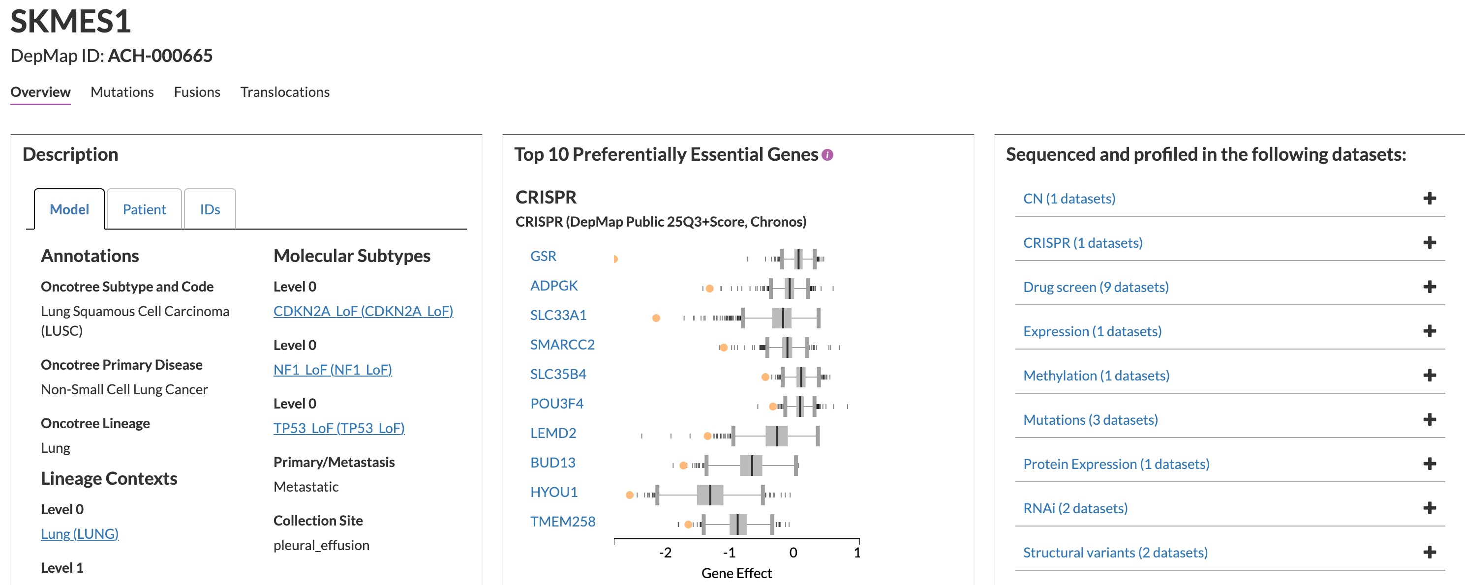 SK-MES-1 profile on DepMap