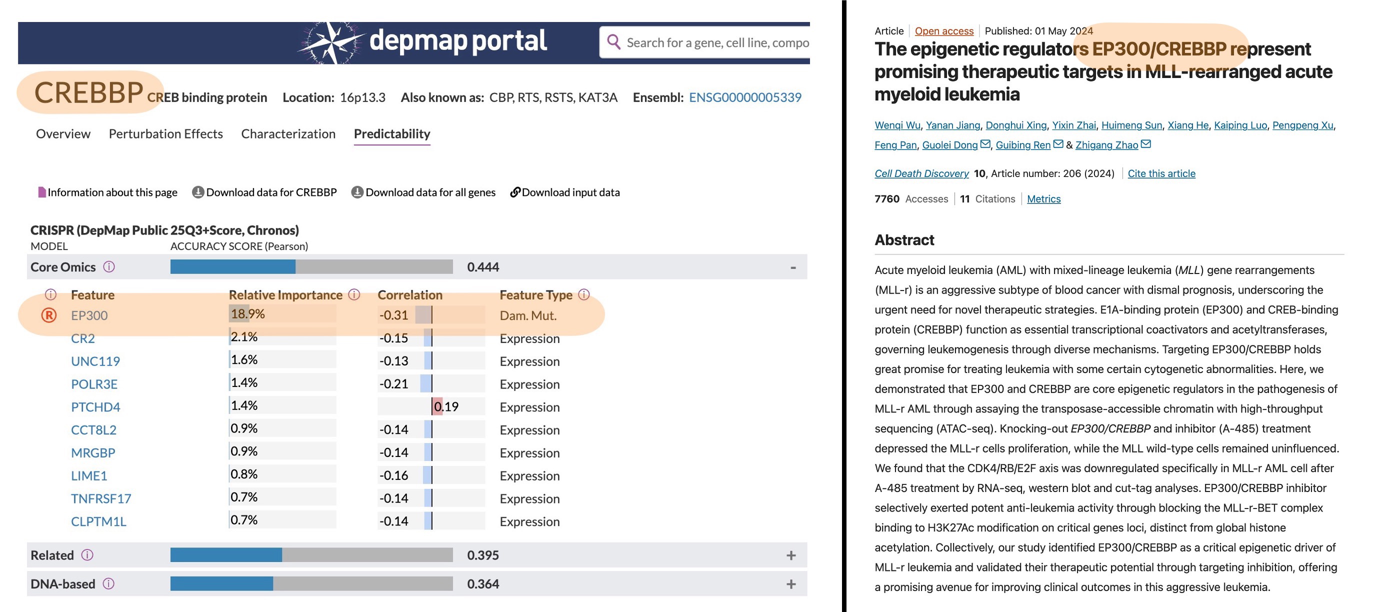 CREBBP and EP300 activation lethalithy