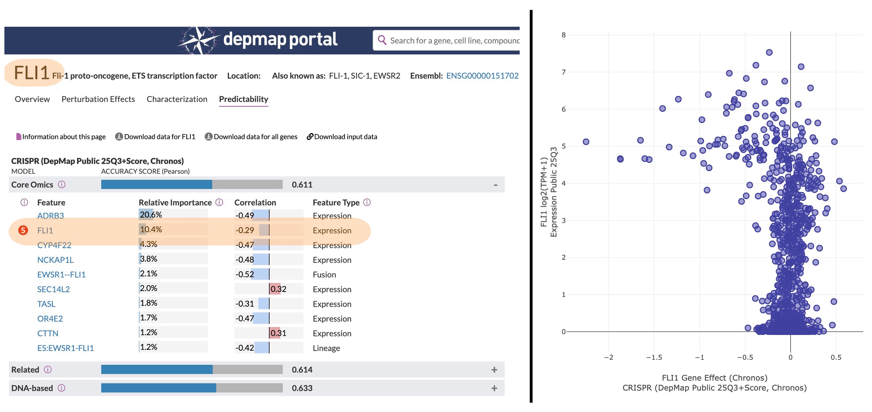 FLI1 overexpression leads to FLI1 dependency